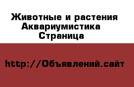 Животные и растения Аквариумистика - Страница 8 